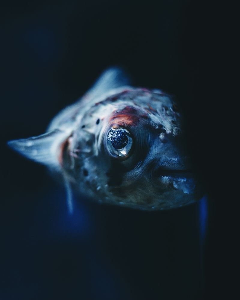 Photograph by Vladyslav Lihostai