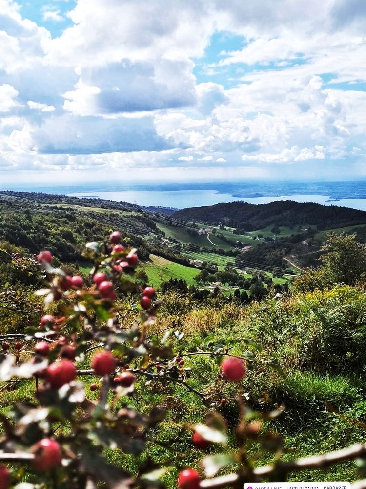 Photograph by Yulia Bilato