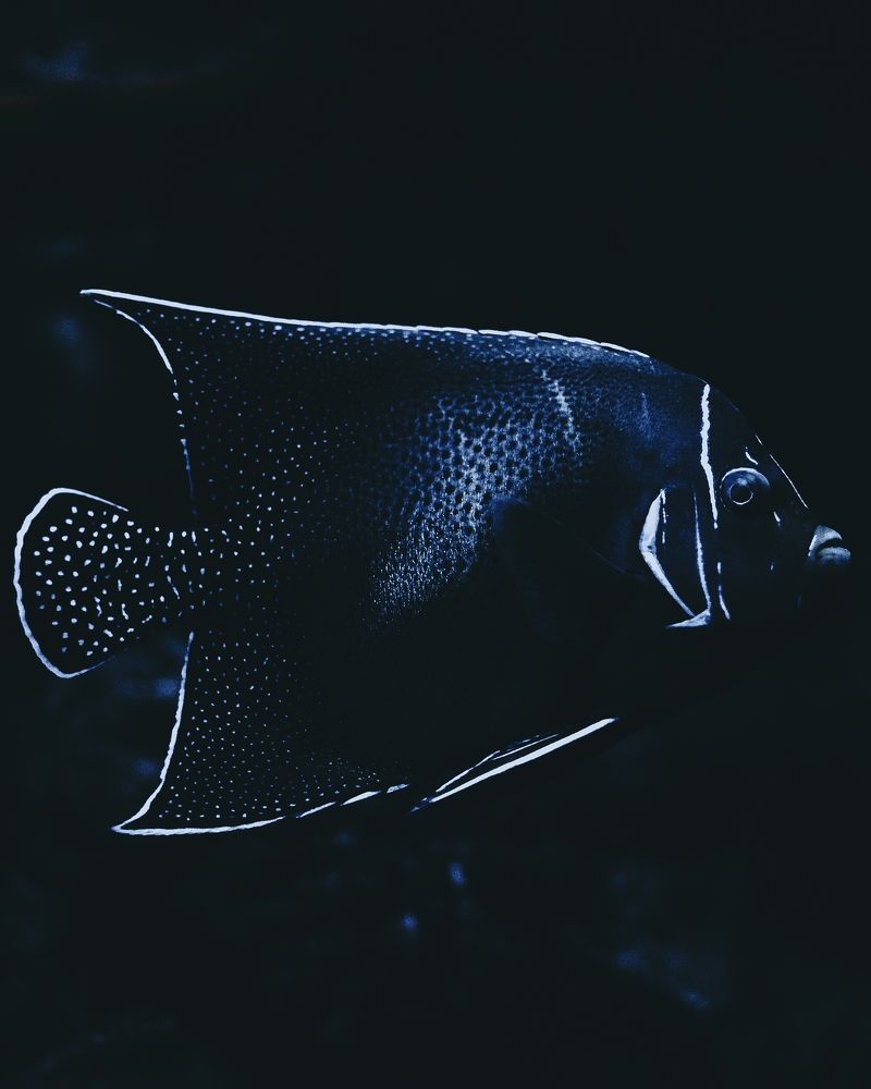 Photograph by Vladyslav Lihostai