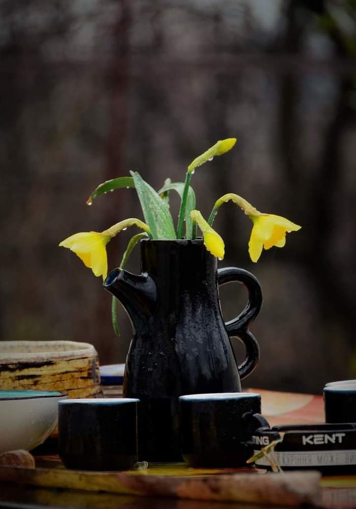 Photograph by Ann Stodolskaya