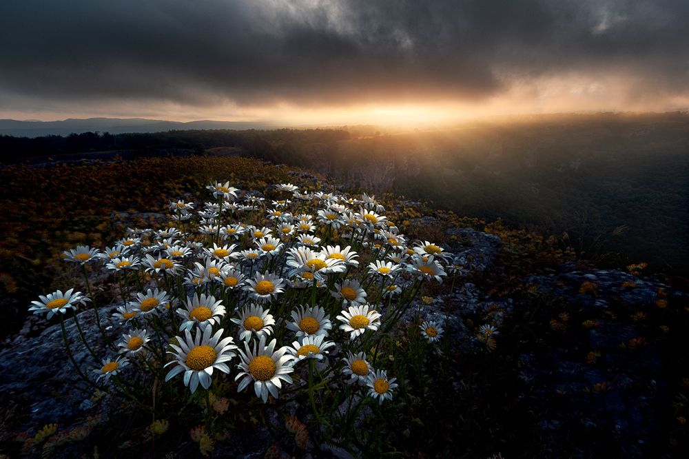 Photograph by Unai Larraya