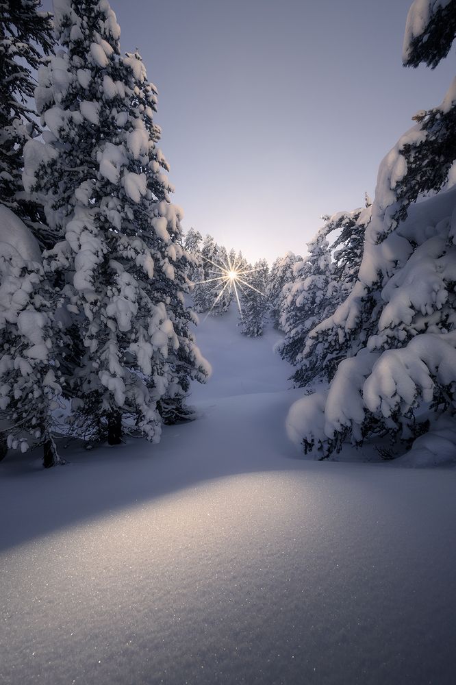 Photograph by Unai Larraya