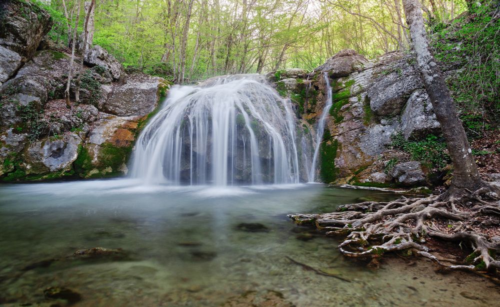 Photograph by Mihail