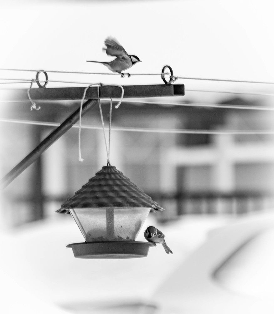 Photograph by Ольга Сафронова