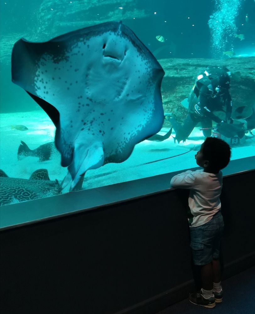 Photograph by Игорь Кощеев