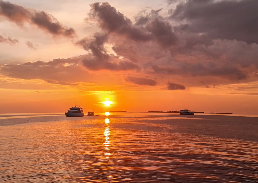 Photograph by Елена Бородич