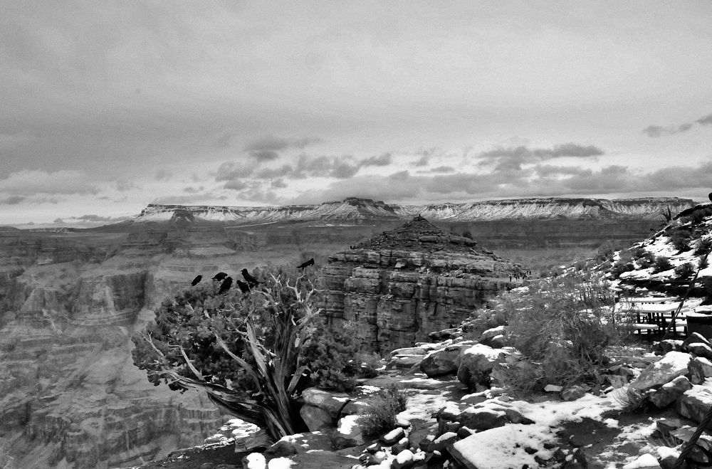 Photograph by Аудрюс Балчетис