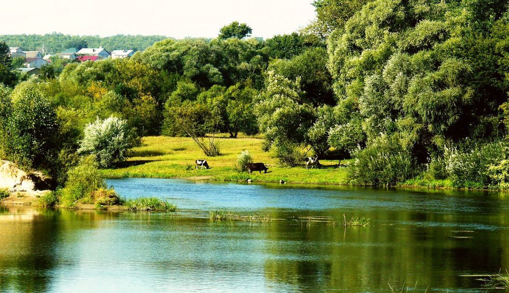 Photograph by леонид натапов