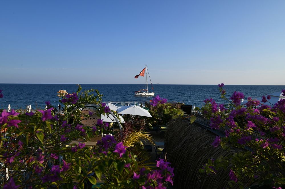 Photograph by Photobonum ZT