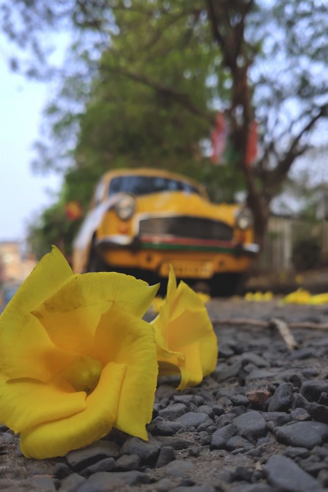 Photograph by Pritam Patra