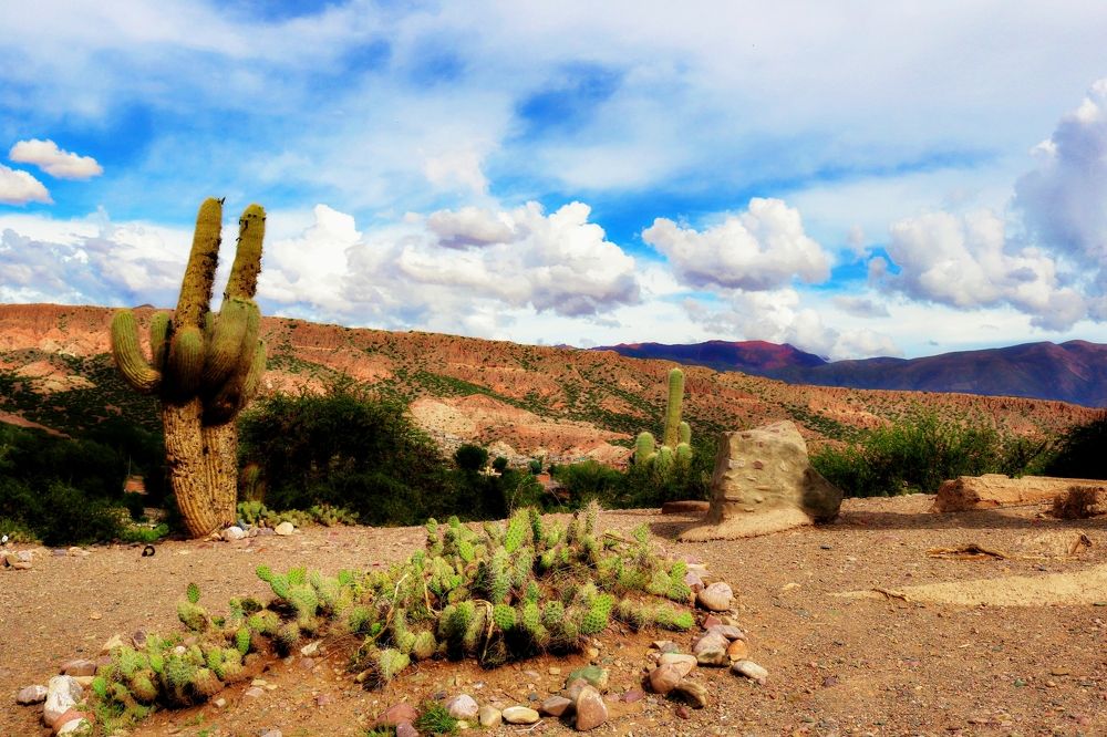 Photograph by Viviana García