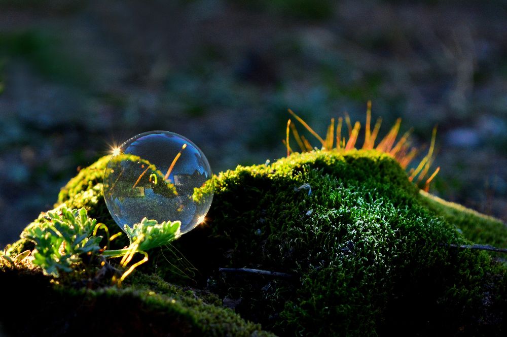 Photograph by Михаил Мехедов