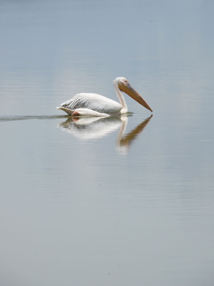 Photograph by Vicky Rose