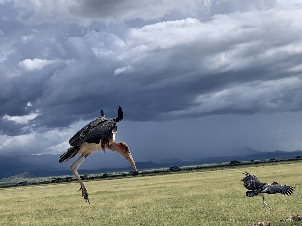 Photograph by Vicky Rose