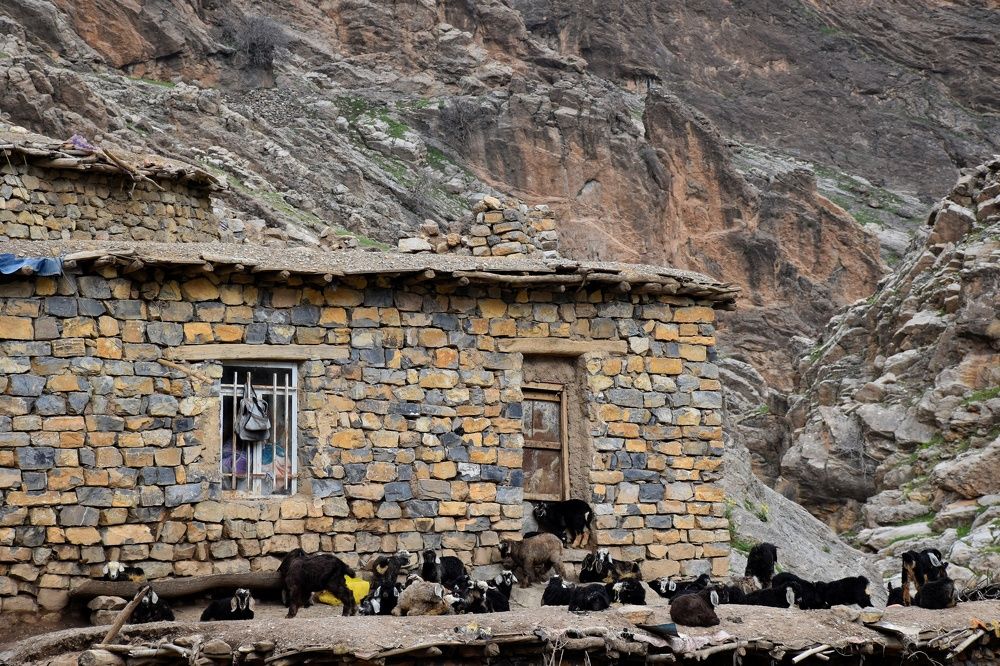 Photograph by SALAHADDIN MAHMOUDI