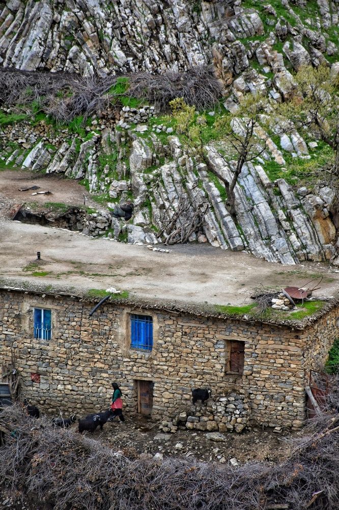 Photograph by SALAHADDIN MAHMOUDI