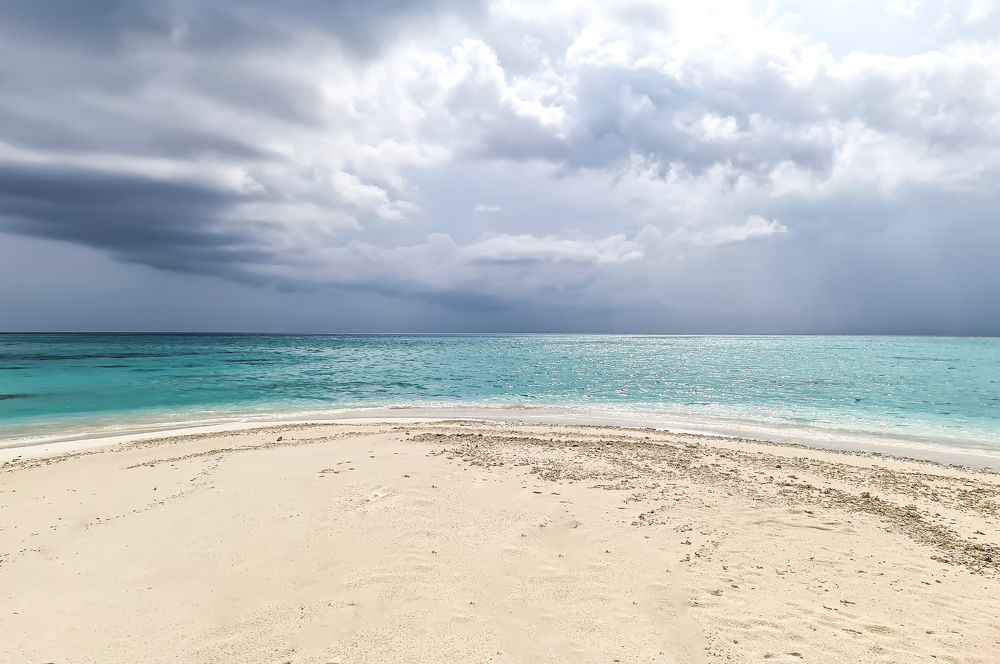 Photograph by Елена Бородич