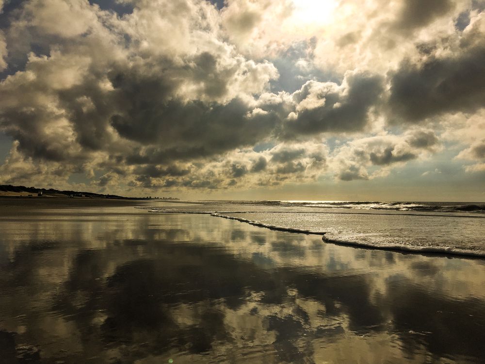 Photograph by Viviana García