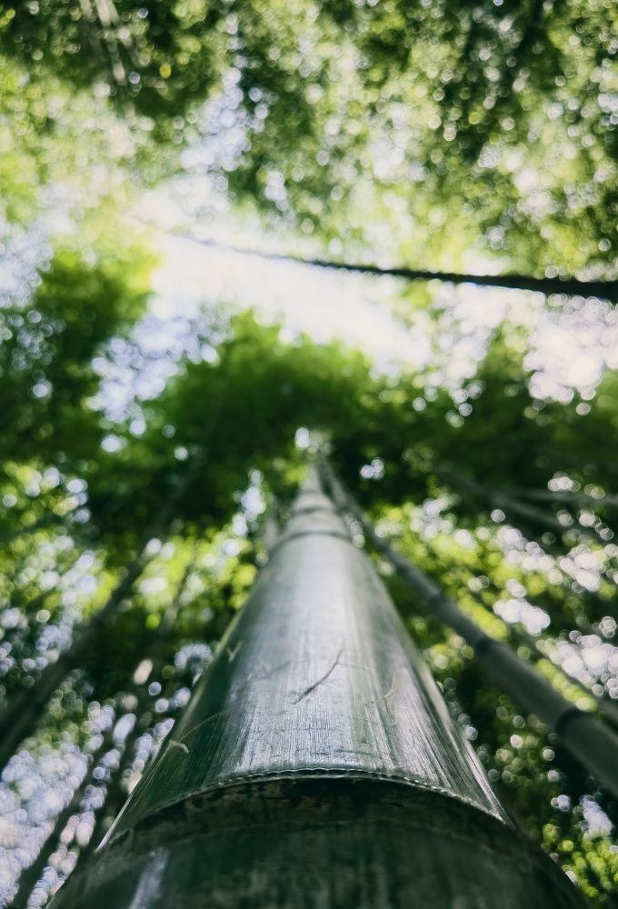 Photograph by Vladimir