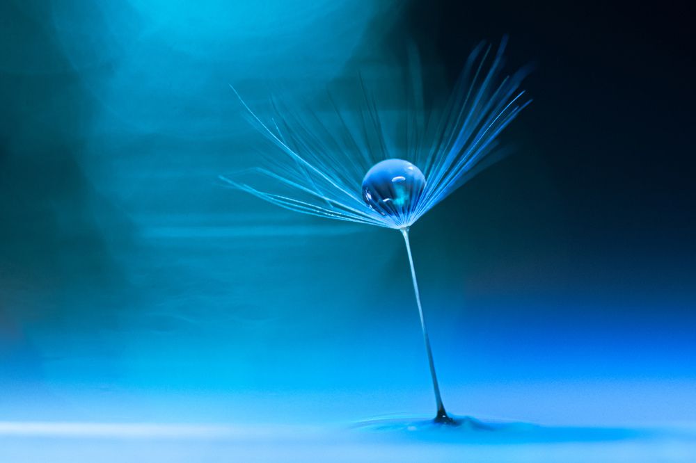 Photograph by Mirjana Spajić Buturac