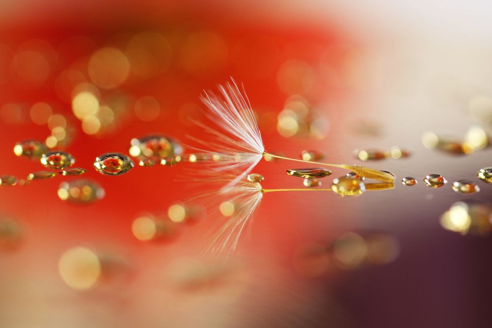 Photograph by Mirjana Spajić Buturac