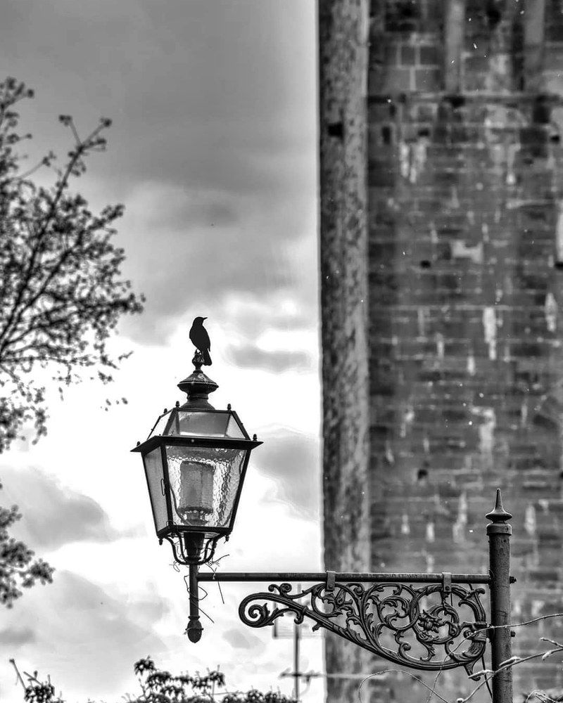 Photograph by SIMONE CIULLI