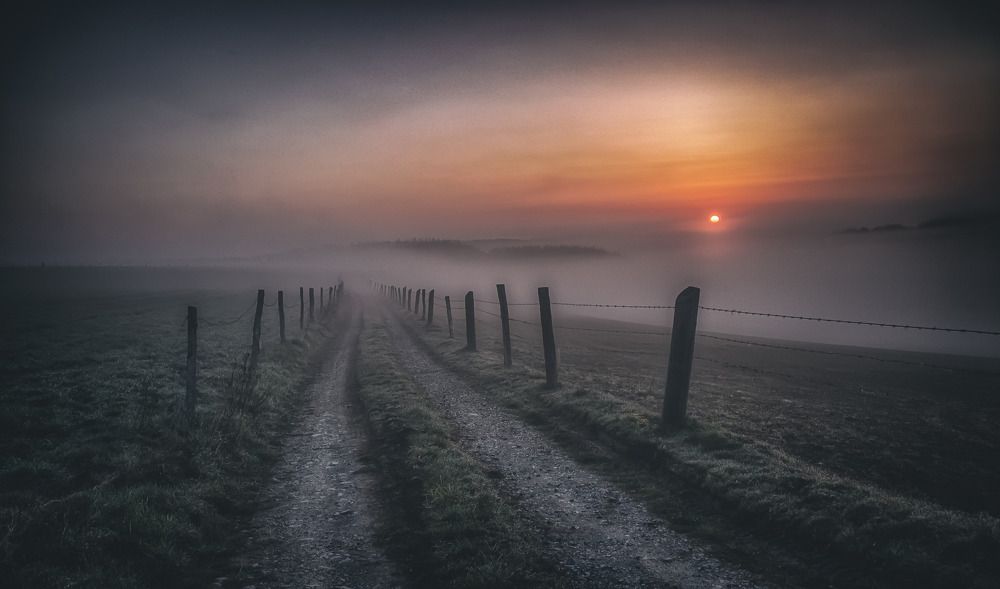 Photograph by Guy Krier