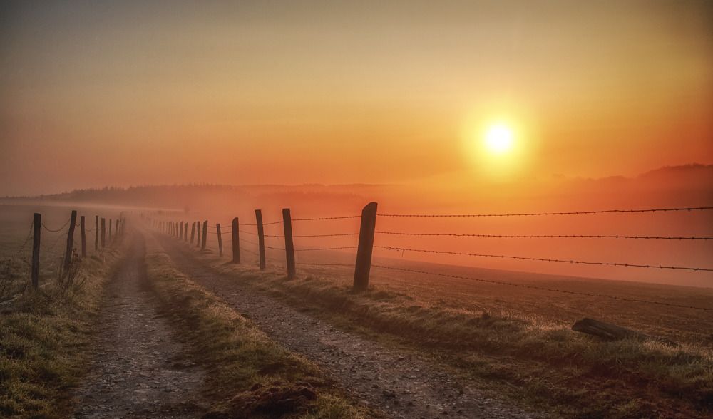 Photograph by Guy Krier