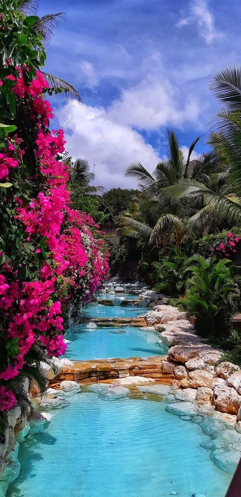 Мечты о Райских садах.