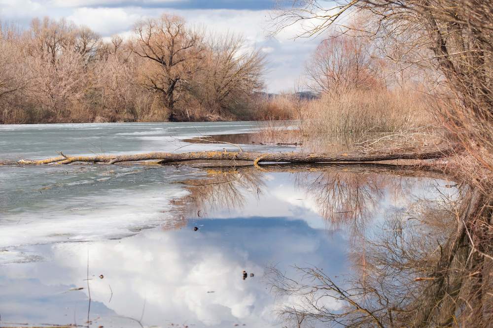 Photograph by Любовь Онщенко