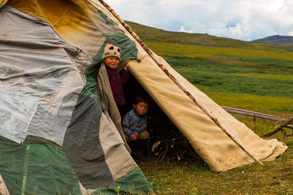 Встреча в тундре.