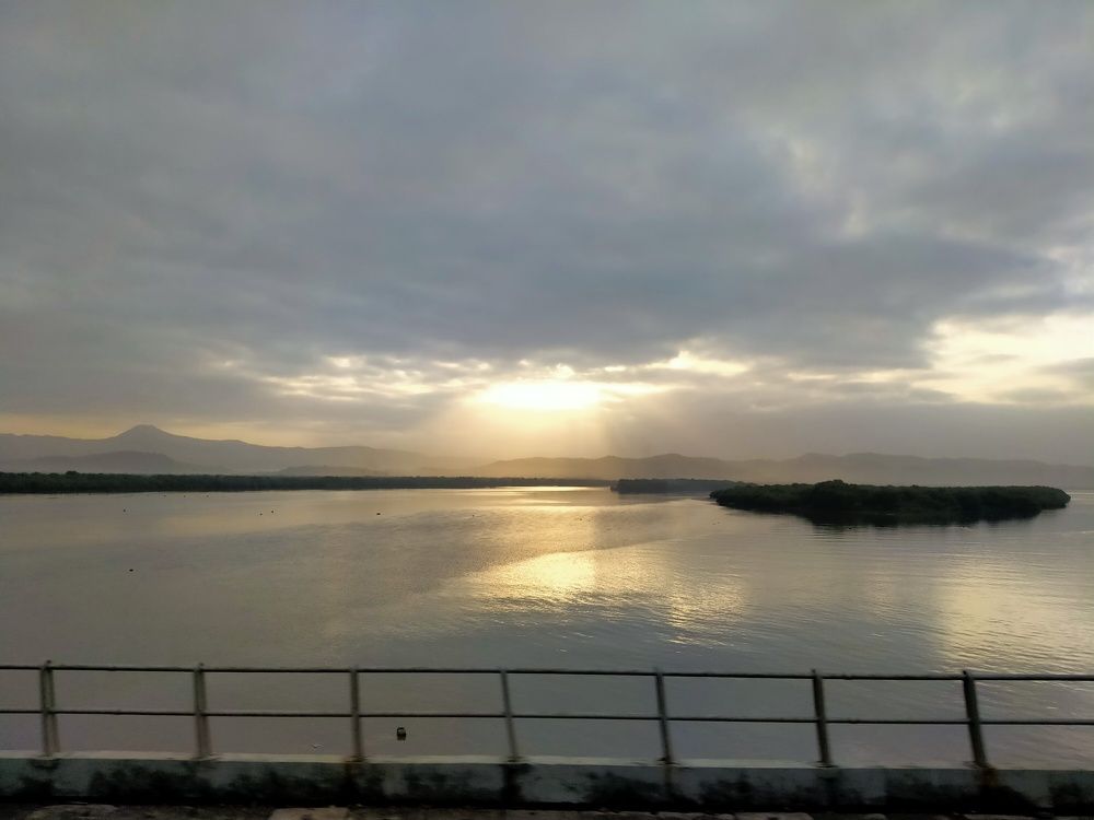 Rays in water