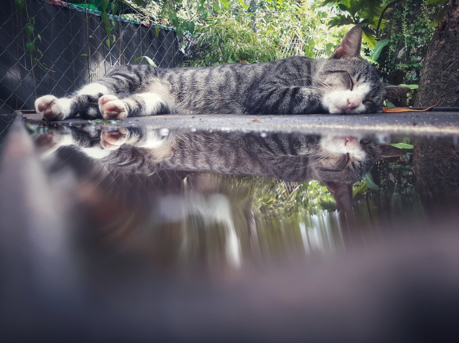 Photo #6040850