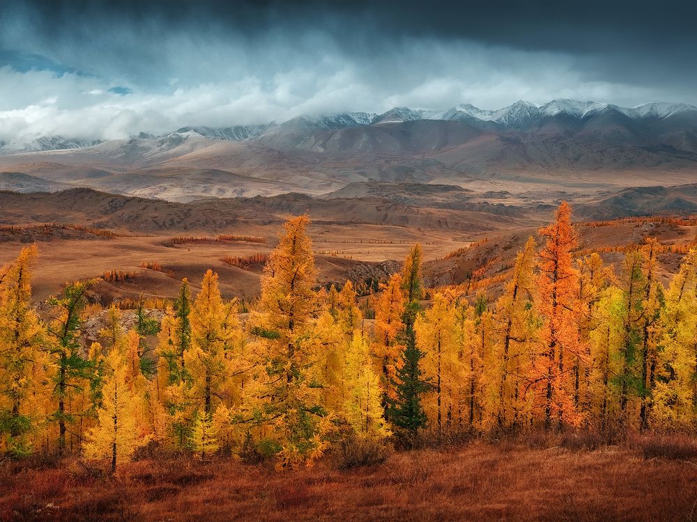 Photograph by Андрей Родионов