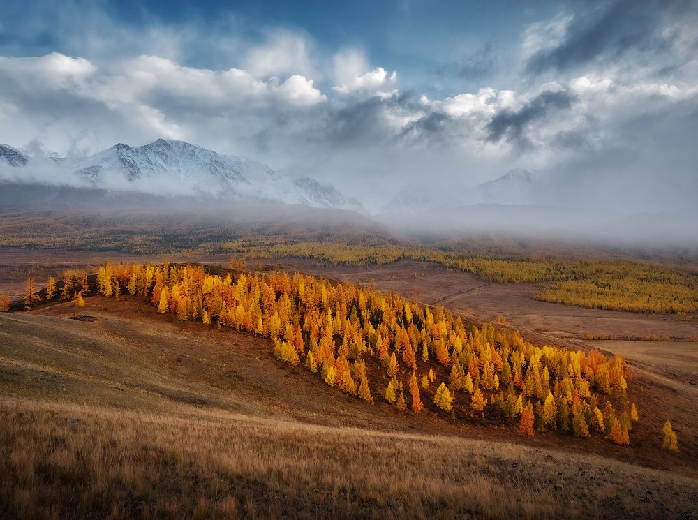 Photograph by Андрей Родионов