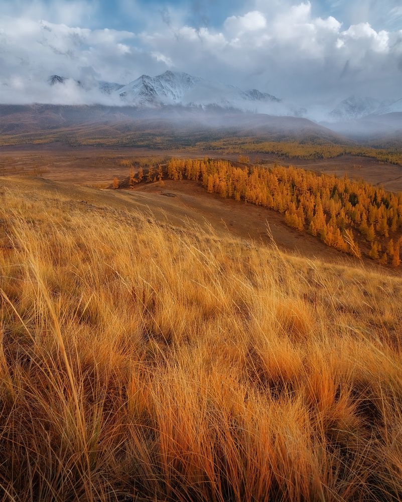 Photograph by Андрей Родионов