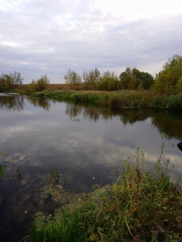 Photograph by Оксана