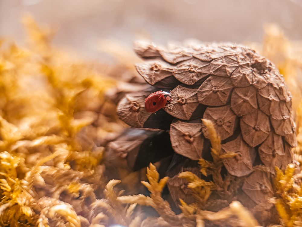 Photograph by Нестерова Карина