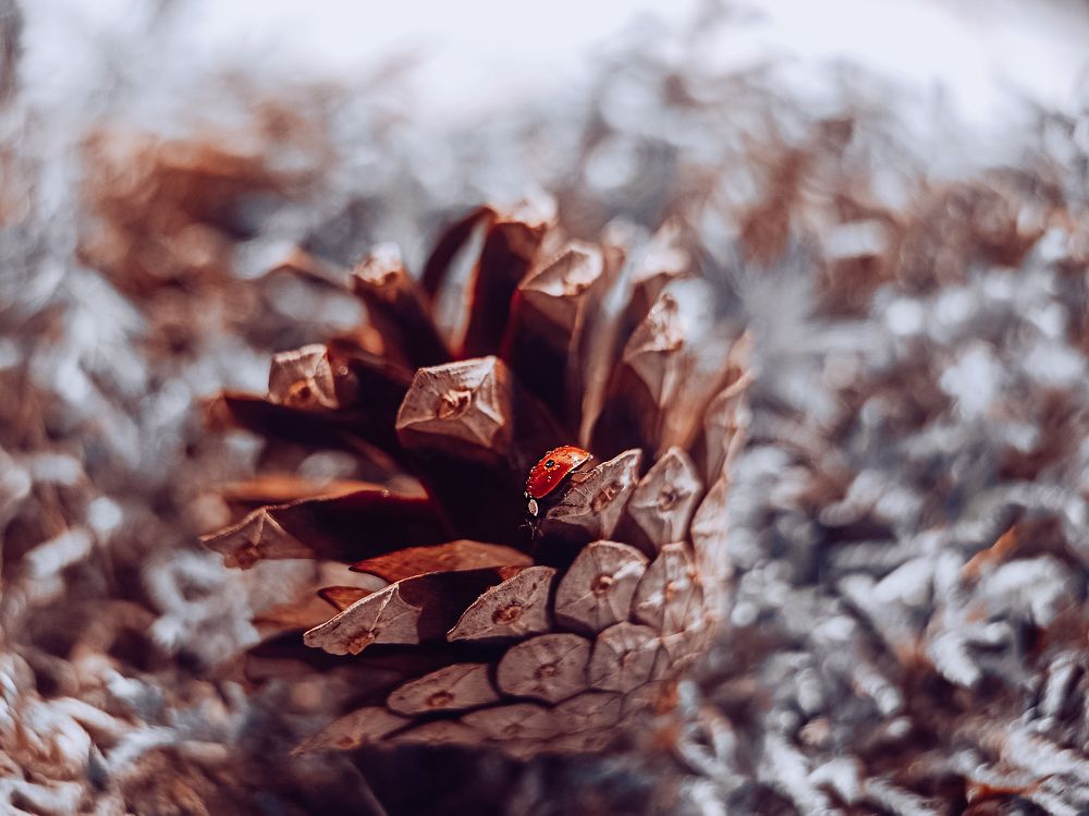 Photograph by Нестерова Карина