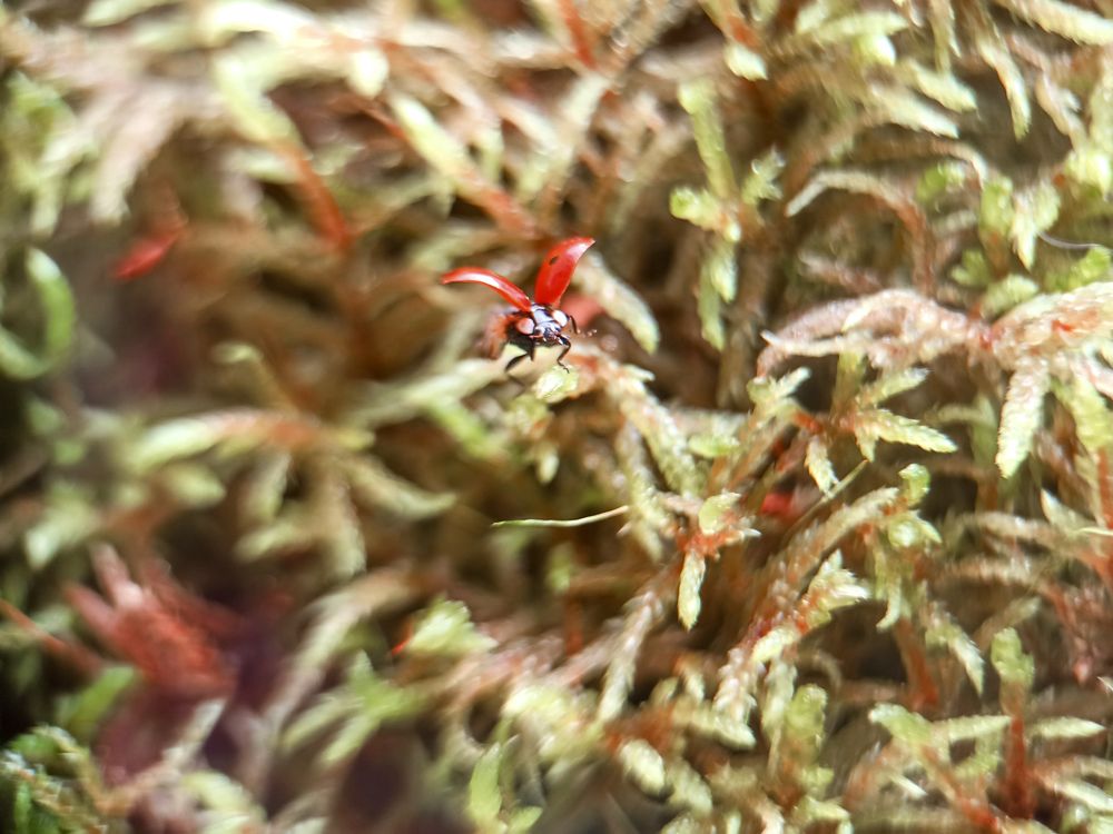 Photograph by Нестерова Карина