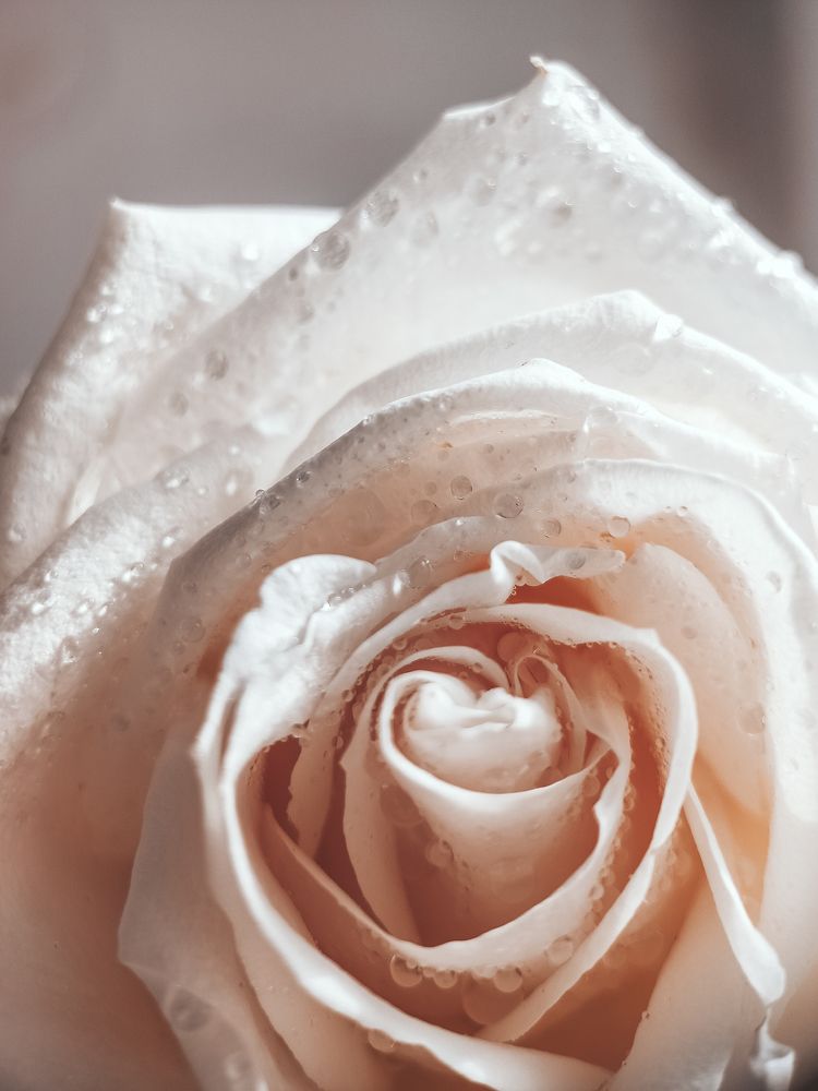 Photograph by Нестерова Карина