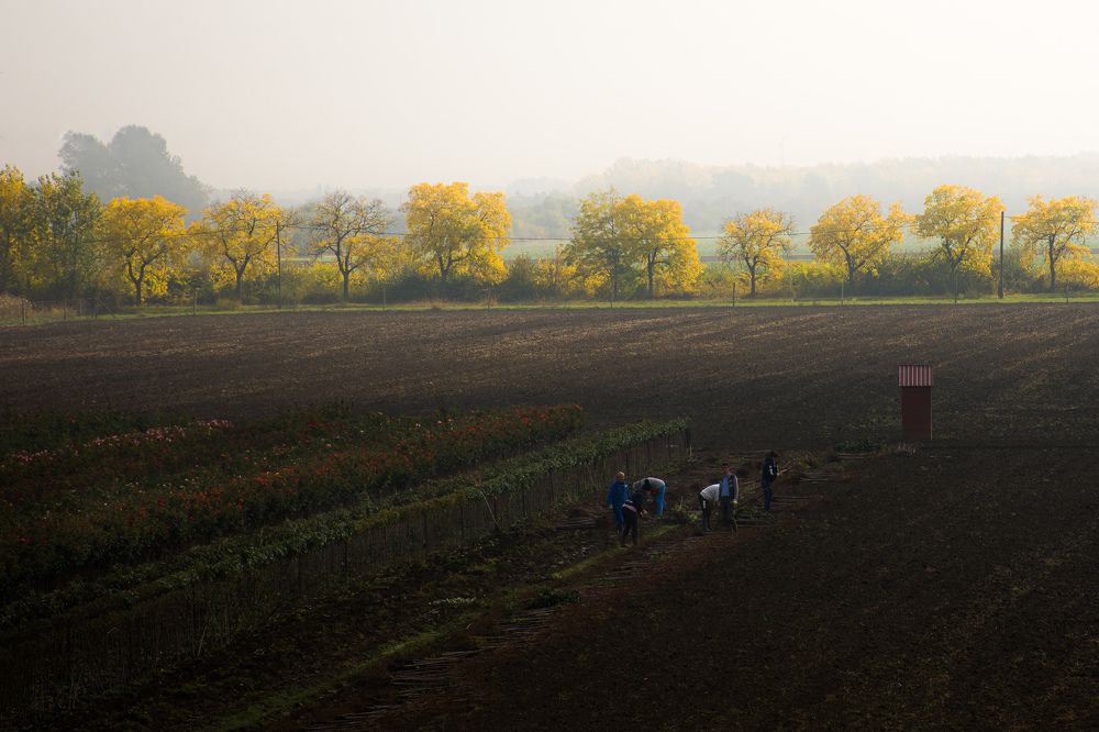 Фотография автора Amir H. Bakhtiari