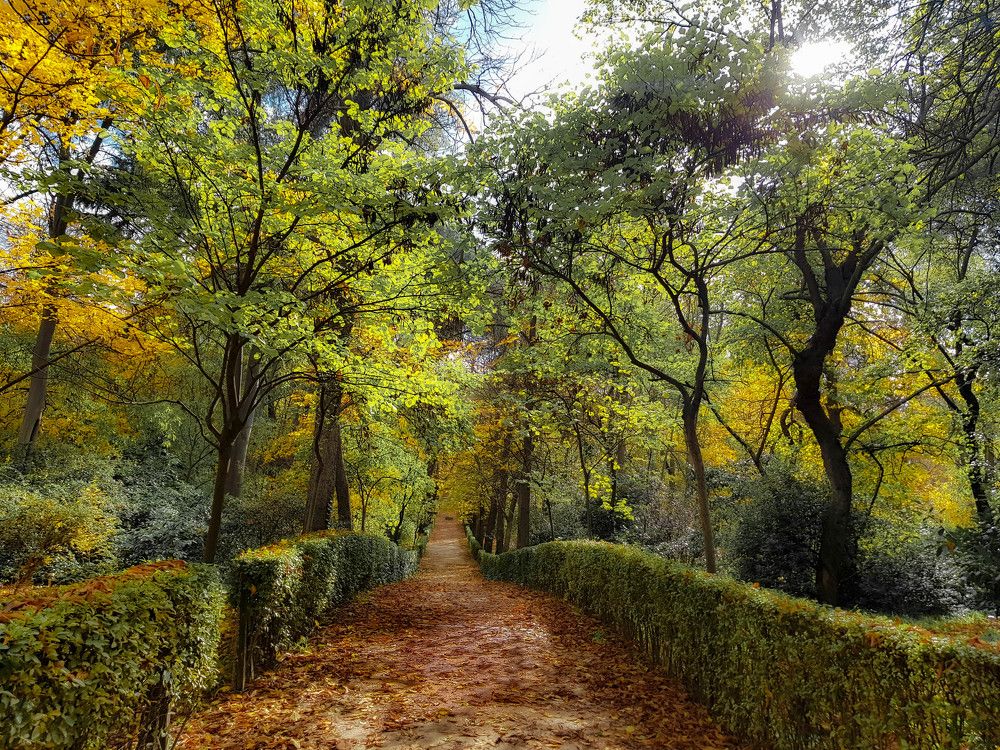 Photograph by Таймураз Гумеров