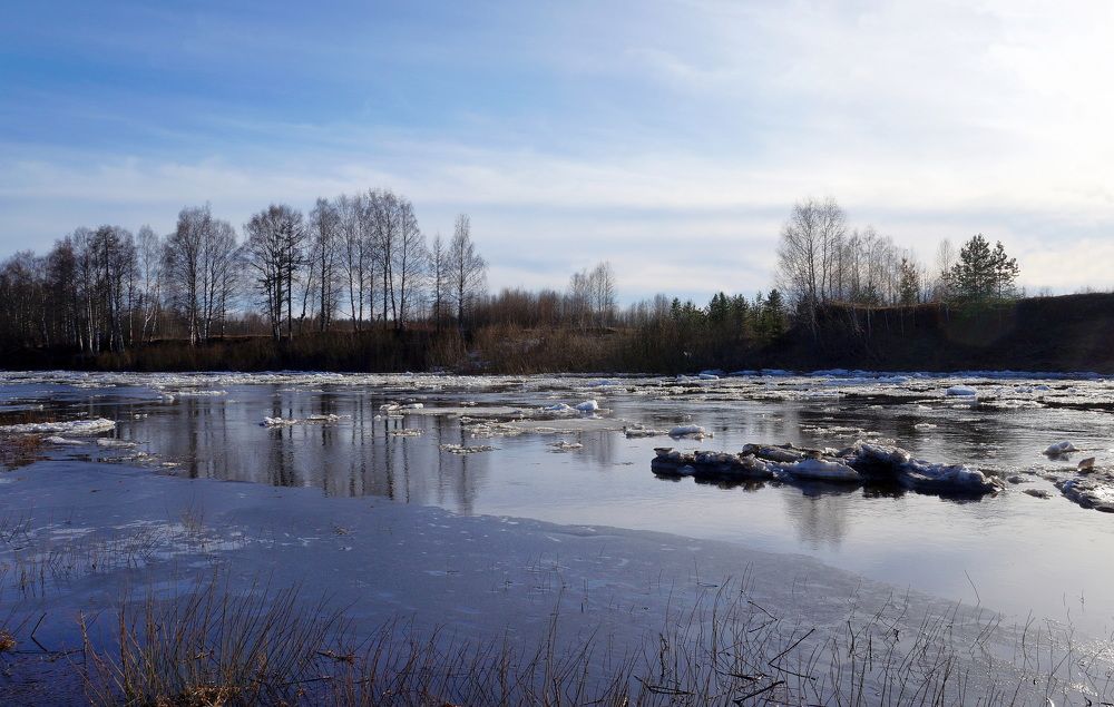 Апрельская  прозрачность ...