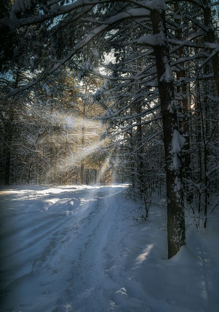 Photograph by Андрей Родионов