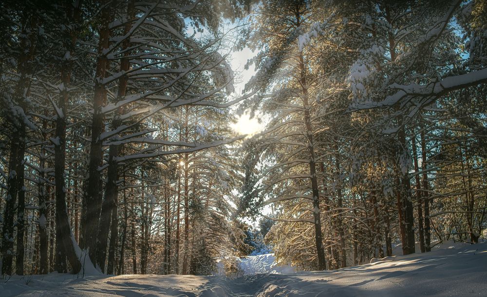 Photograph by Андрей Родионов