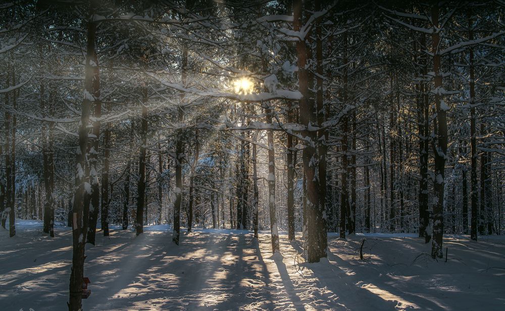 Photograph by Андрей Родионов