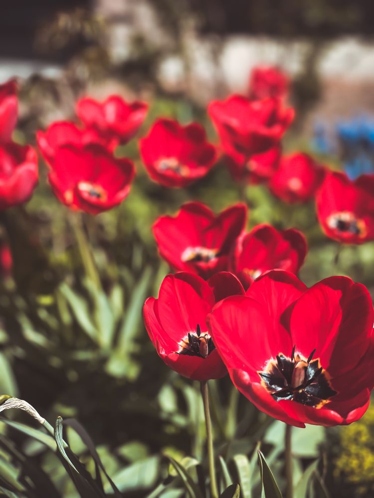 Photograph by Карина Мамлютова