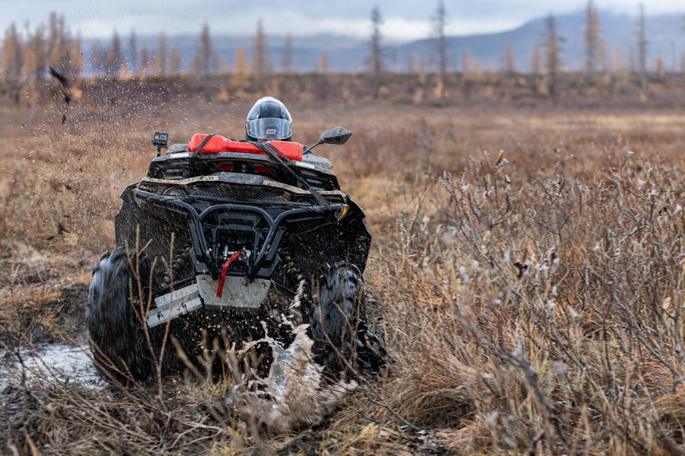 Photograph by Ирина Ульянова