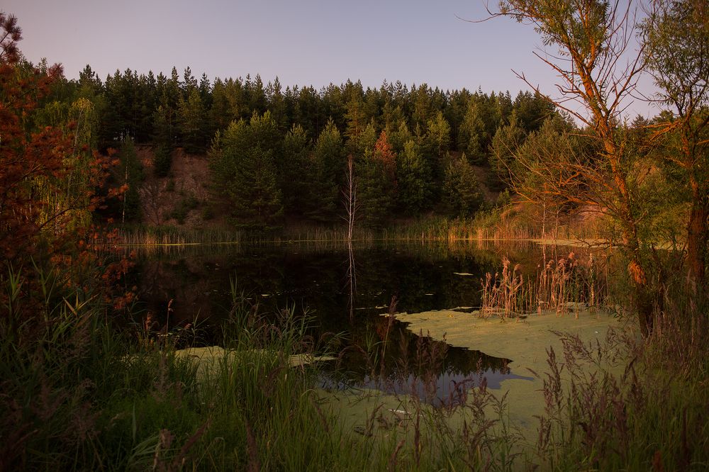 Photograph by Екатерина